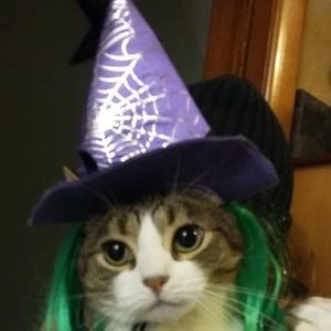 Meet your Posher, Mischele